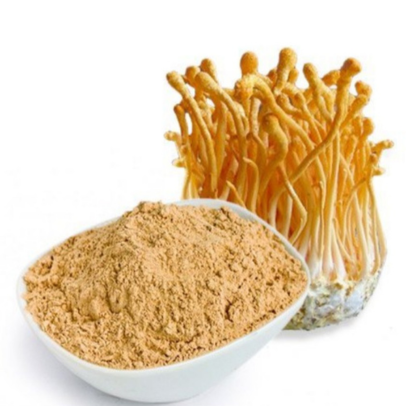 cordyceps-militaris-powder