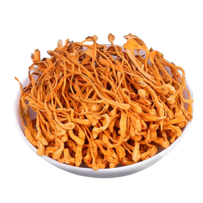 cordyceps-militaris