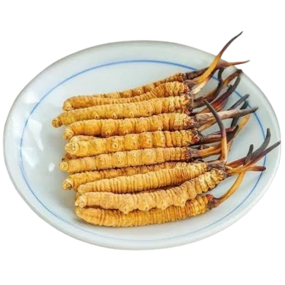 Sandeep Rawat, Dehradun