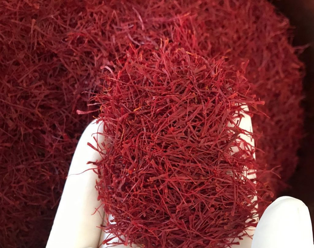 saffron-in-hand-1024x808